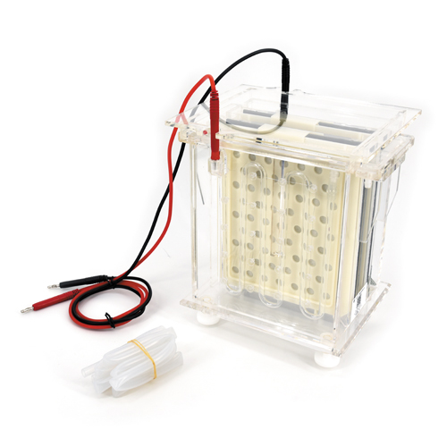 北京六一DYCZ-40B型轉(zhuǎn)印電泳儀（中號(hào)）